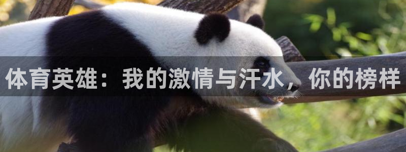 意昂5平台注册入口