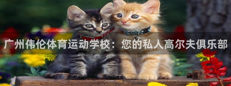 意昂5体育老板是谁