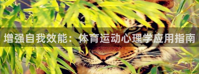 意昂52平台登录
