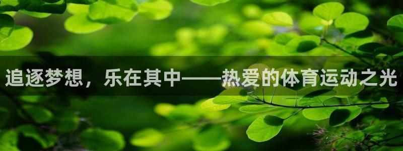 意昂5体育代理申请流程