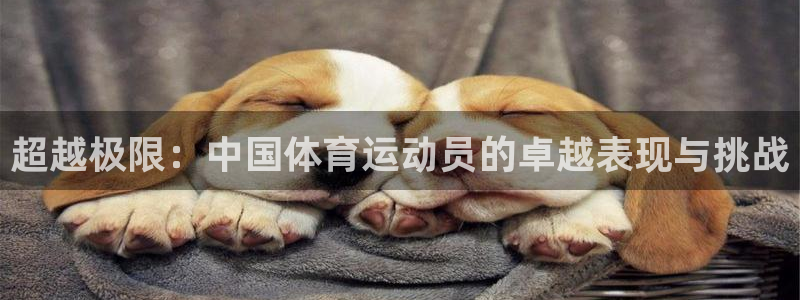 意昂5官网入口