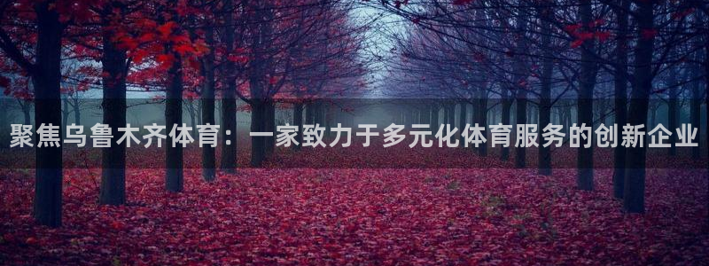 意昂5体育代理申请流程