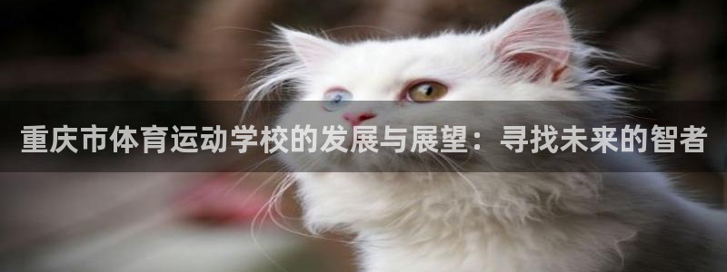 意昂5体育f开户