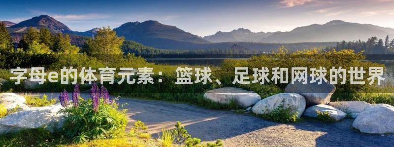 上海意昂5汽车电子有限公司