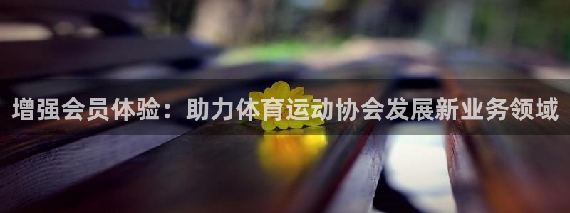 意昂52体育登录入口