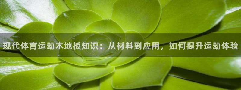 意昂5体育凯捷代理注册