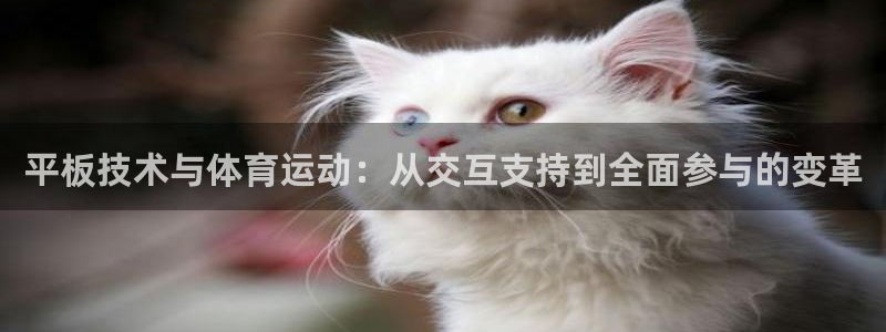 意昂52登录