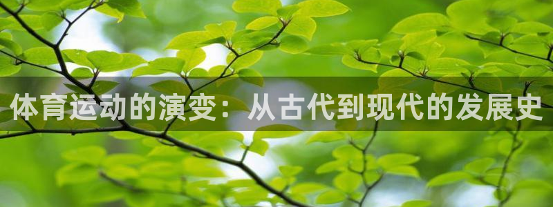 意昂54平台