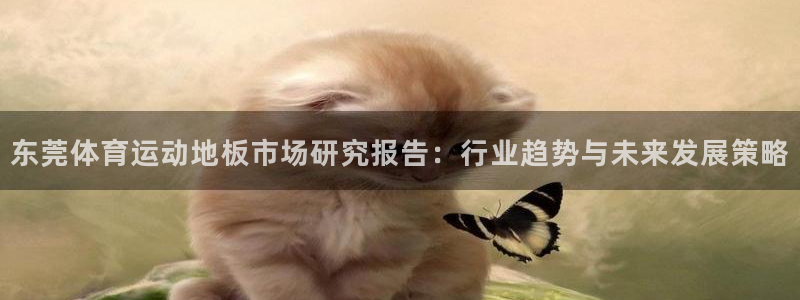 意昂5体育老板是谁