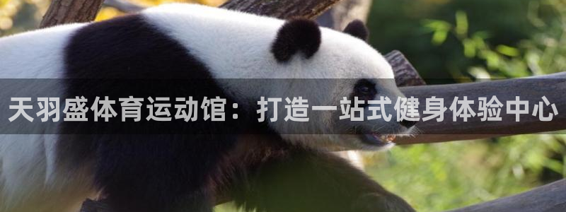 意昂5平台开户