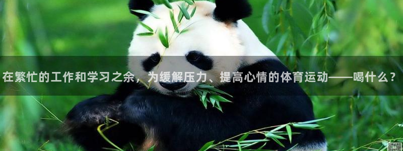 意昂5体育老板是谁