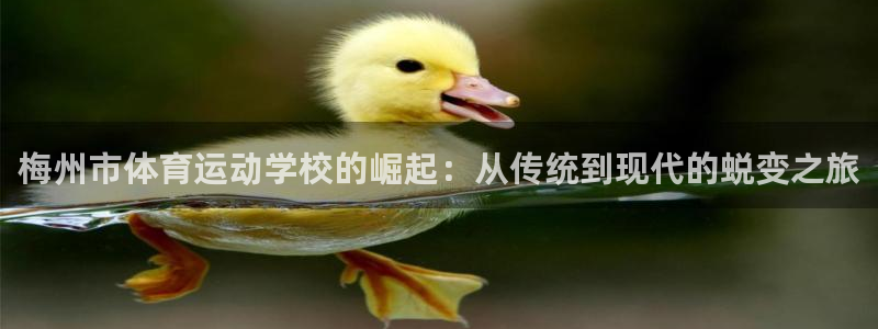 意昂5平台开户链接