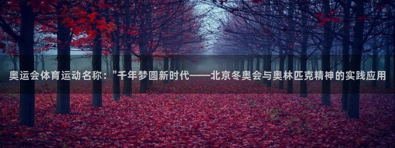 意昂5体育