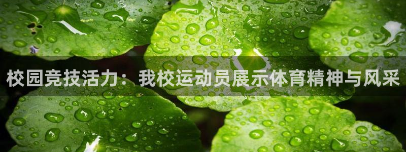 意昂5集团股票